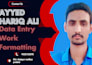 do data entry,excel data, cleaning, formatting,